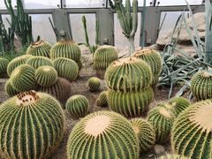 -北京植物园-展览温室