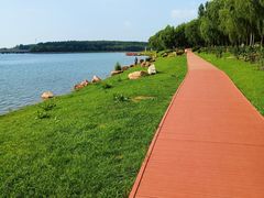 -丁香湖公园