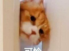 -秦云老太婆摊摊面(园博园店)