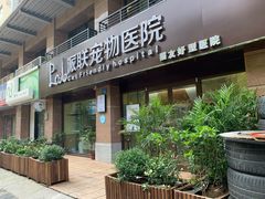 -派联宠物医院·24h·CT·异宠