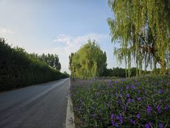 -汉长安城未央宫国家考古遗址公园