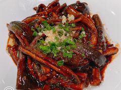 响油鳝丝-蝶园·装修中(BFC外滩金融中心店)