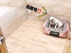 -Double Rui宠物酒店