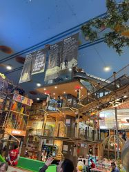 -卡通尼·Safari非洲探索乐园·生日会(金桥国际商业广场店)