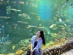 -华夏文旅西安度假区