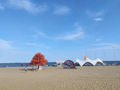 -金梦海湾浴场