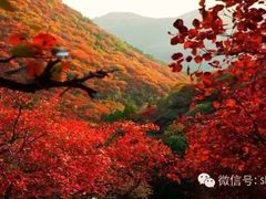 -石门坊
