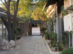 -蘇河湾·新鲁菜·泰山宴(泰山店)