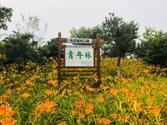 -东郊湿地公园