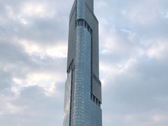 -紫峰大厦