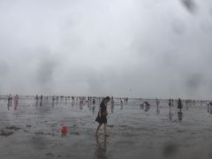 -碧海金沙