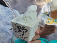 -野人先生现做冰淇淋(北京顺义祥云小镇店)