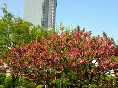 -西门子中国有限公司(阜通东大街店)