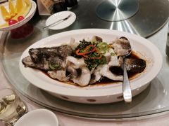 -绿岛国际酒店·海鲜酒楼(八七路店)