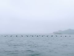 -松岛