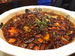 -陈麻婆豆腐总店