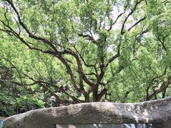 -宁波市保国寺古建筑博物馆