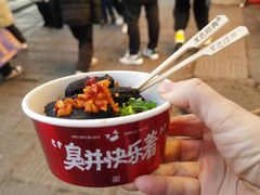 -黑色经典臭豆腐·湖南特产(太平街口店)