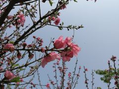 -乌山风景区