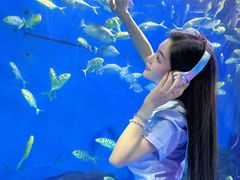 -重庆欢乐海底世界
