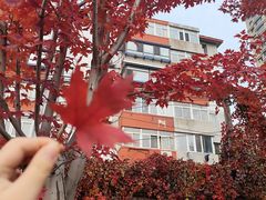 -辽宁大学(崇山校区)