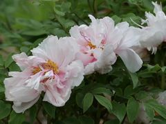 -江南大学(蠡湖校区)