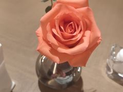 -佐度王子扒房(爱建卓展店)