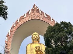 -庐山风景名胜区-东林大佛