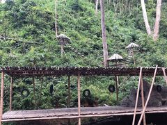 -西双版纳原始森林公园
