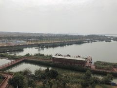 -芒洲湿地公园