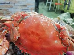 -海帮主·蒸汽海鲜青岛菜(栈桥火车站店)