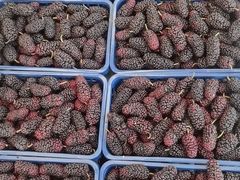 -西郊国际农产品交易中心