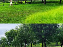 -汉长安城未央宫国家考古遗址公园