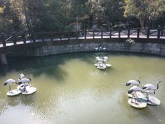 -峙山公园