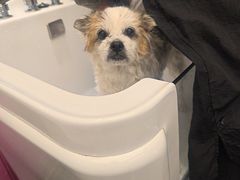 -FAELING PETS美天灵宠物(富力广场店)