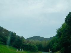 -柳石居柳州螺蛳粉(万达店)