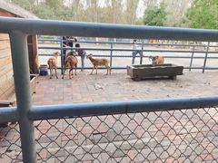 -长白岛森林公园