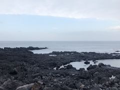 -涉地可支
