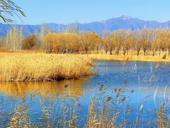 -野鸭湖国家湿地公园
