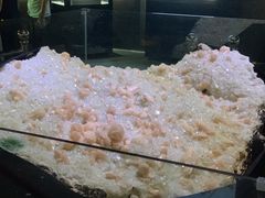 -中国地质大学逸夫博物馆