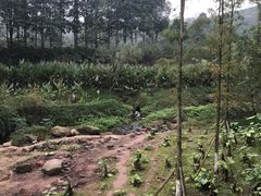 -重庆彩云湖湿地公园