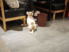 -重庆三江烤鱼(红花南路店)