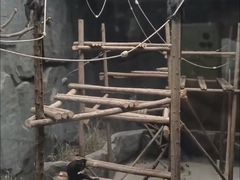 -武汉动物园