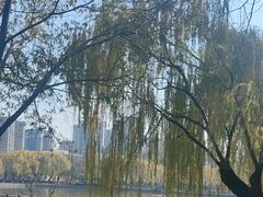 -中国农业博物馆