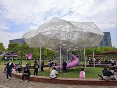 -春花秋色城市公园