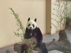 -宁波野生动物园