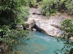 -广州白江湖森林公园