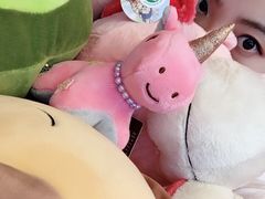 -PAWTOY爪e玩偶店(天兴罗斯福店)