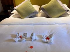 -洛阳白云山景区