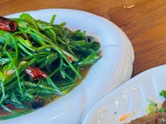 -三文彩虹鳟鱼庄